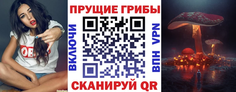Галлюциногенные грибы ЛСД  Мураши 